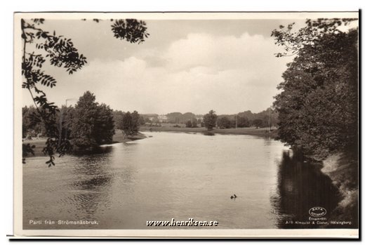 Strmsnsbruk