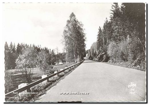 Strmsnsbruk